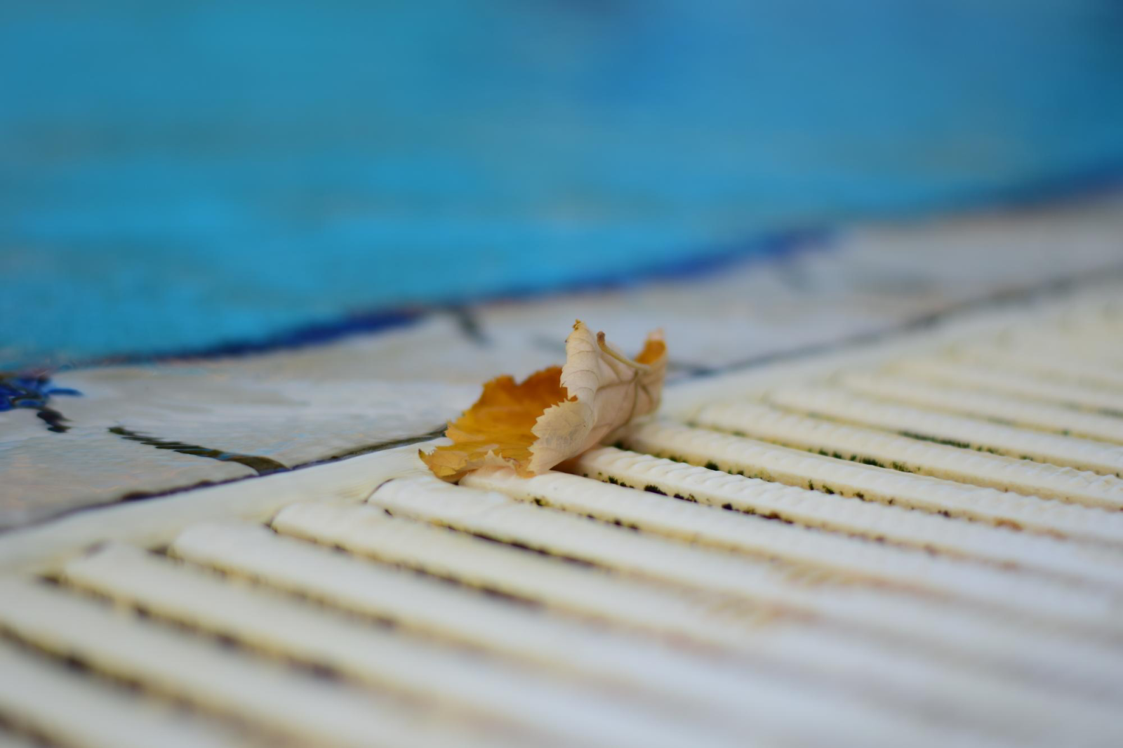 A sturdy pool cover helps keep out debris like leaves, twigs, and dirt, which can clog filters and create a mess. 